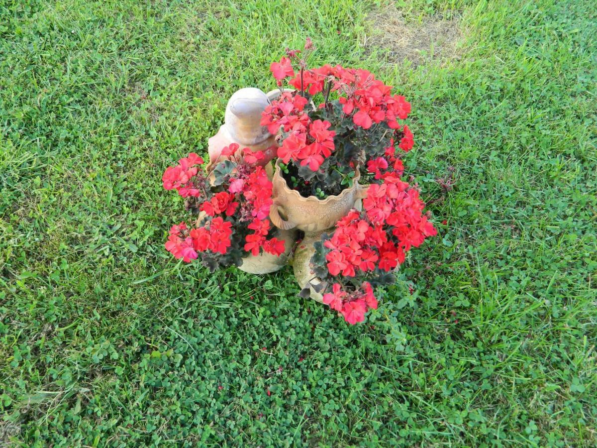 Elder Villa 布朗 外观 照片